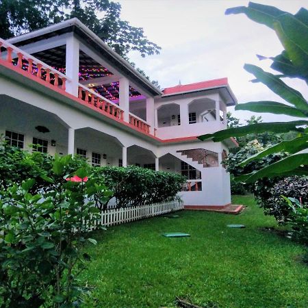 Polish Princess Guest House Port Antonio Eksteriør billede