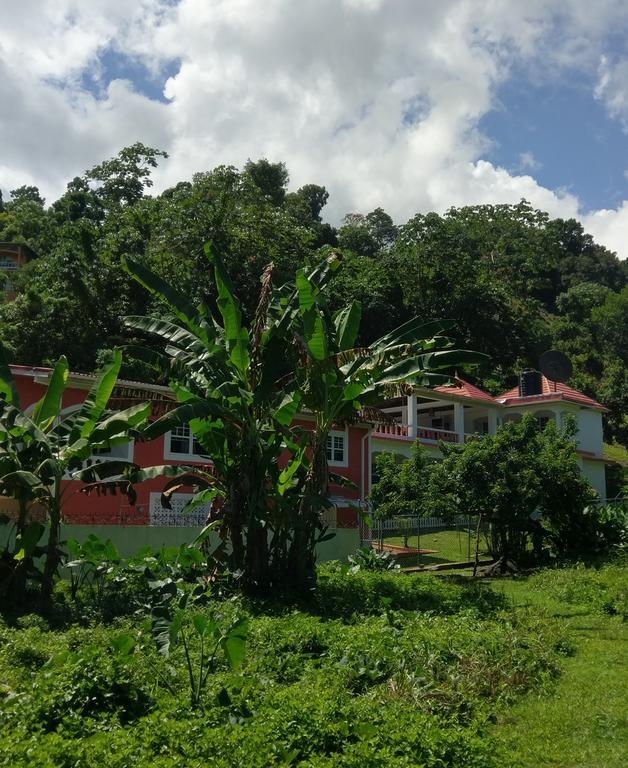 Polish Princess Guest House Port Antonio Eksteriør billede