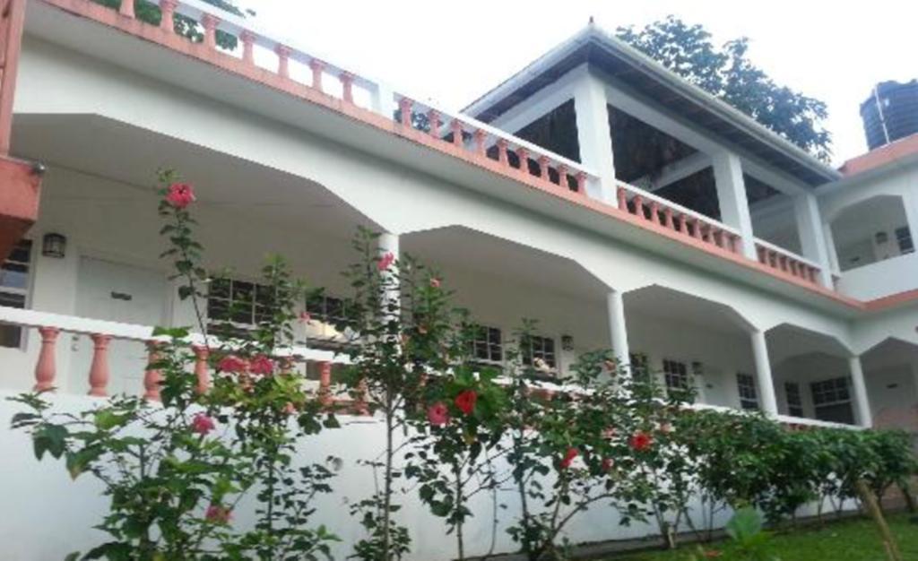Polish Princess Guest House Port Antonio Eksteriør billede